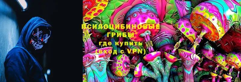 Как найти закладки Новокузнецк КОКАИН  Псилоцибиновые грибы  ГАШИШ  Каннабис  Мефедрон 